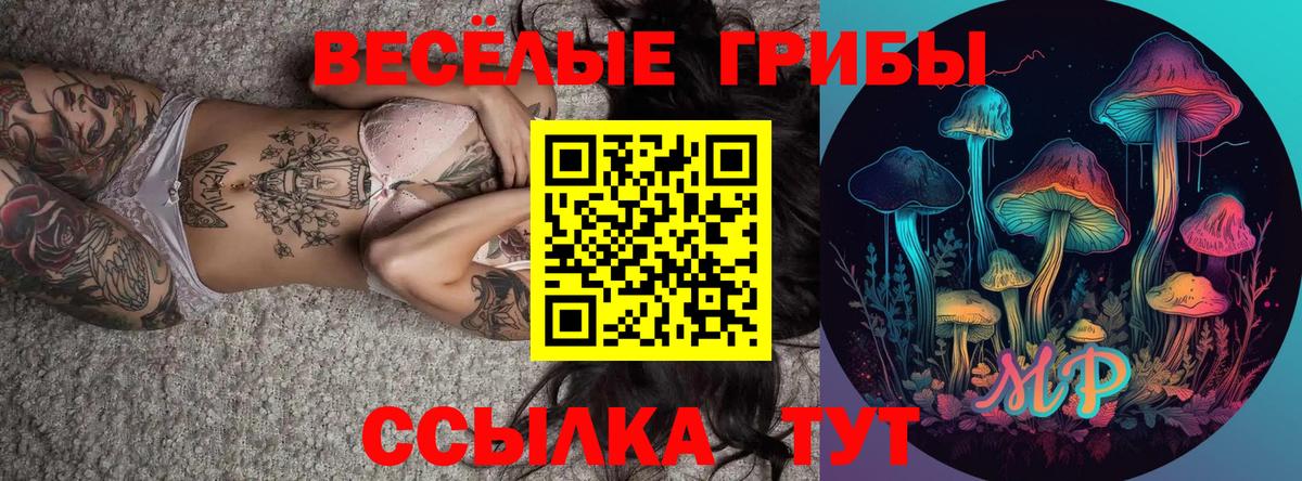 Кисловодск  Псилоцибиновые грибы GOLDEN TEACHER  Псилоцибиновые грибы прущие грибы  Вход с VPN 
